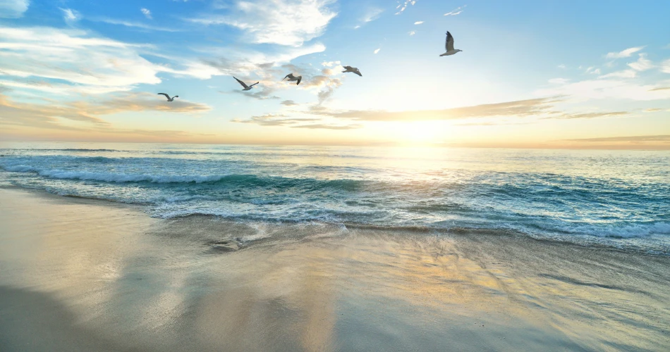 10 Best Beaches in Galveston, Texas, USA