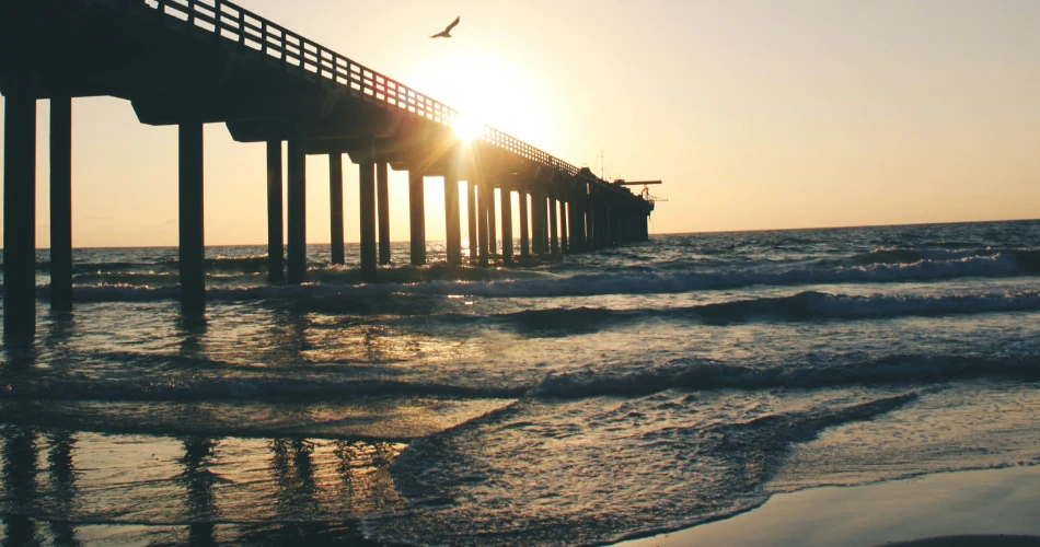 10 Things to Do After Dinner in Galveston