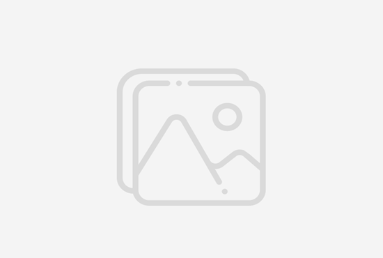 Galveston Lights Moody Gardens